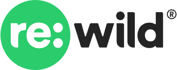 Re:wild logo