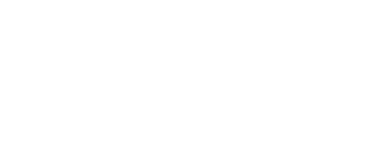 FIS logo