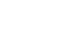Ally logo