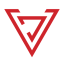VDS Consulting Group