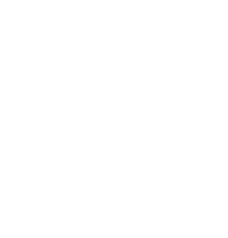 Capital One