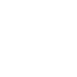 Lightspeed Commerce
