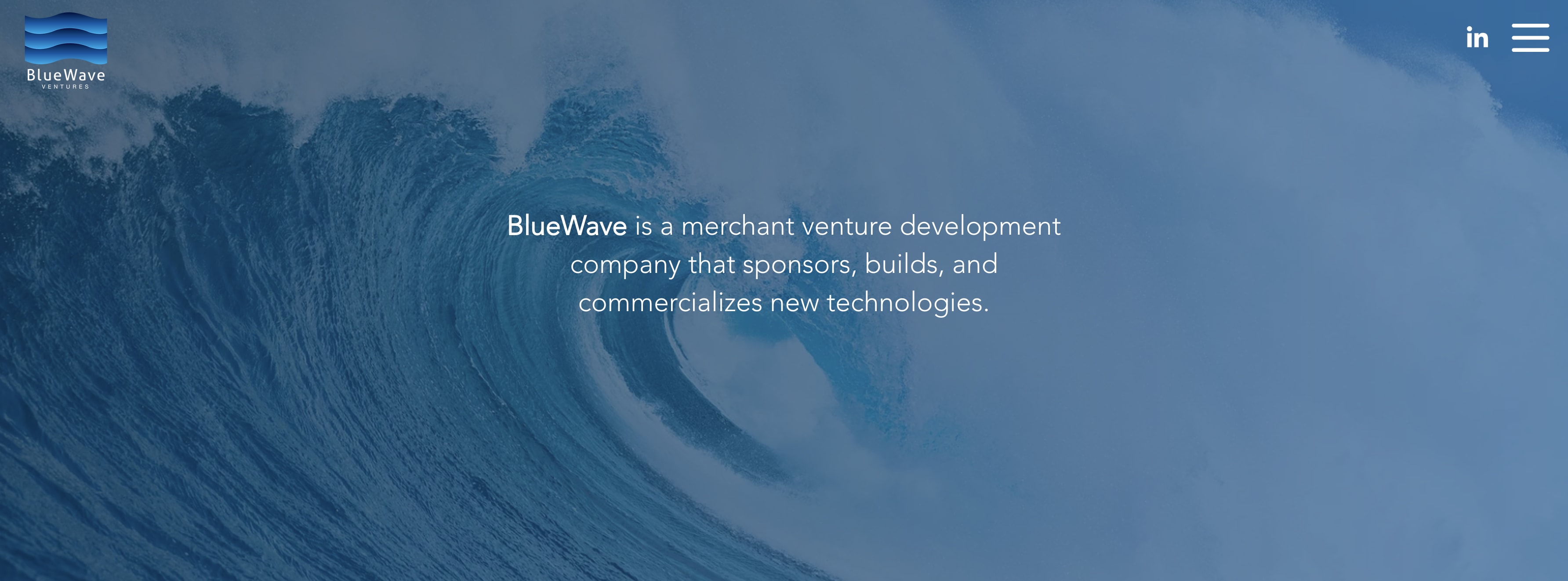 Bluewave Ventures