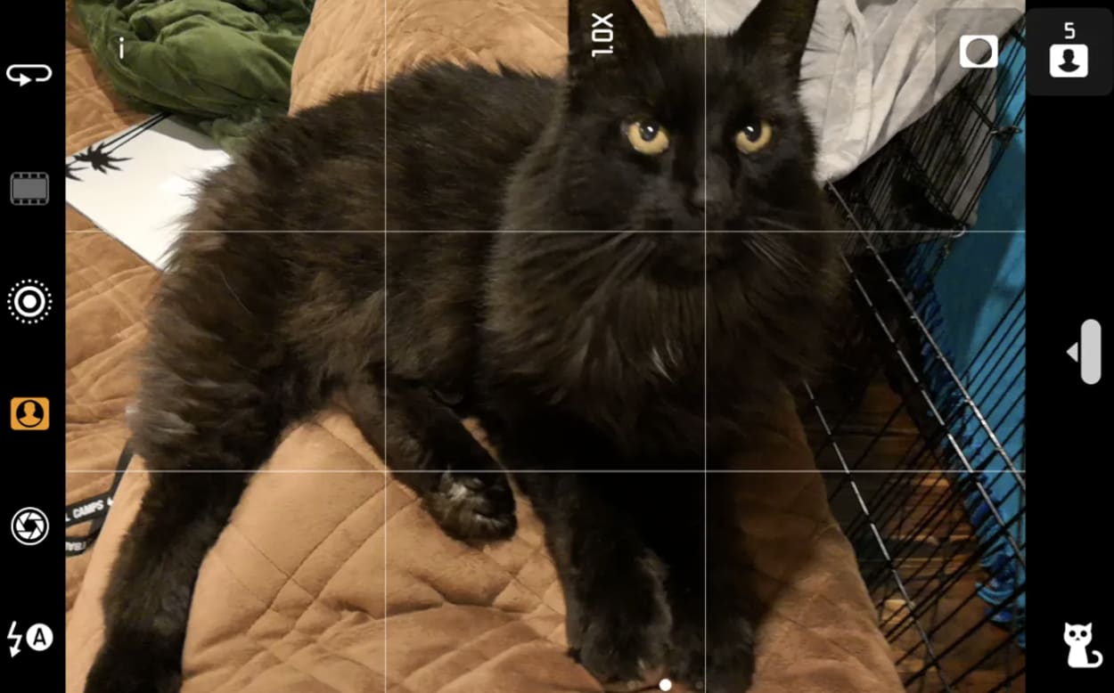 AI enhanced Photos On The Huawei Mate 10/Mate 10 Pro With The New Kirin 970 Chip