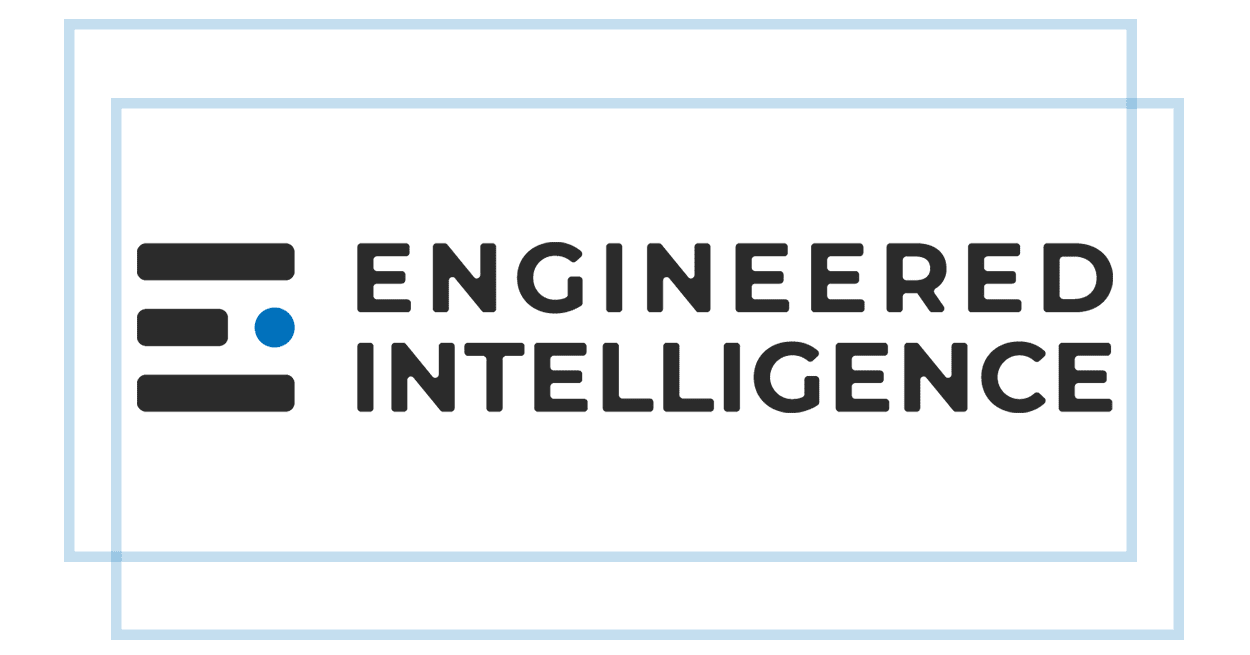 Engineered Intelligence | Asset Management