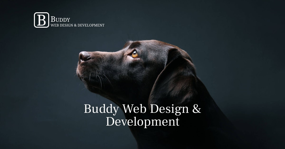 Buddy Web Design & Development