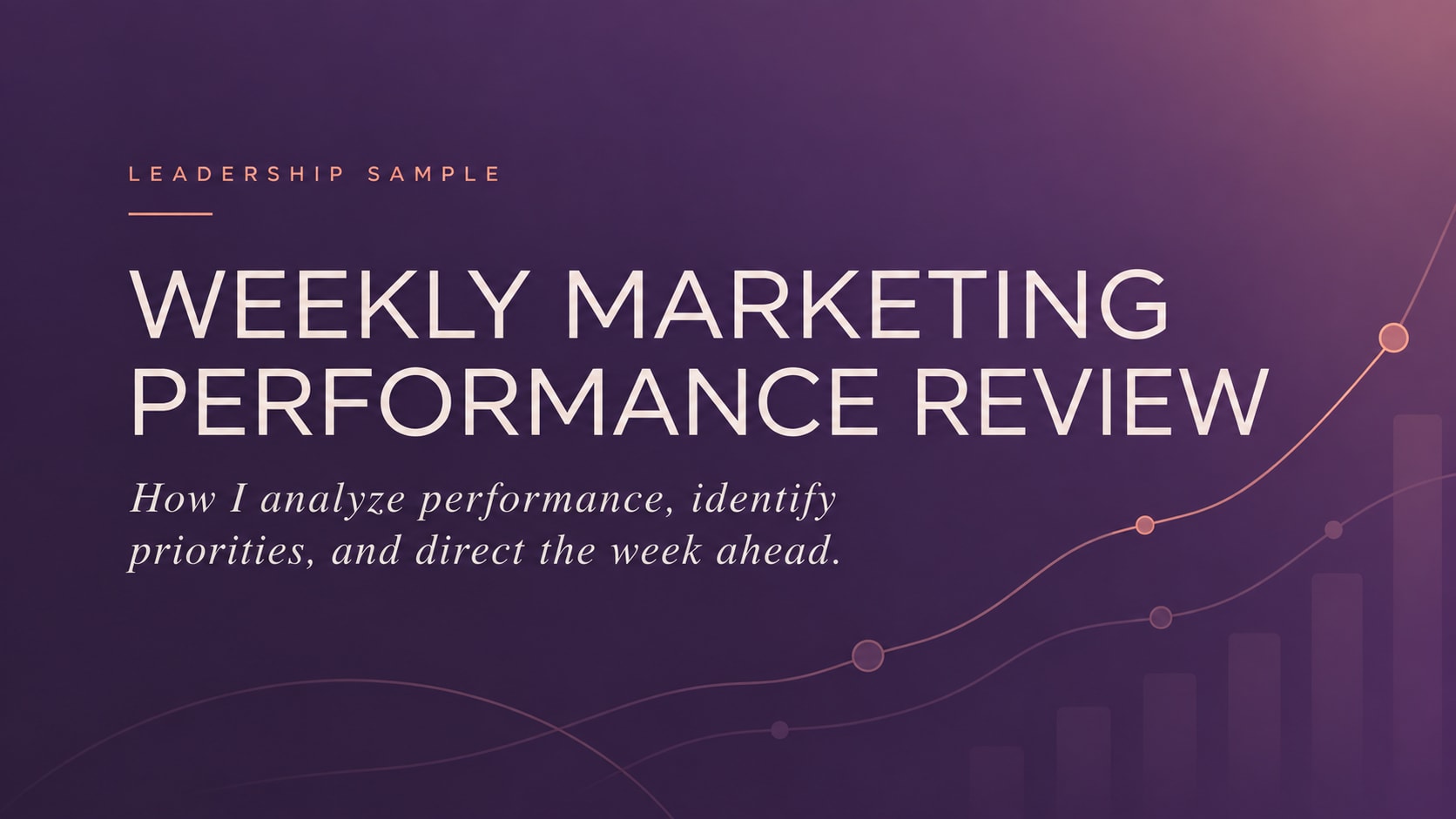Weekly Marketing Performance Review — Fractional CMO sample