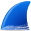 Wireshark