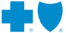 Blue Cross Blue Shield