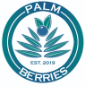 Palm Berries