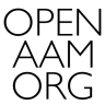 Open AAM ORG