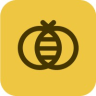 Beelink