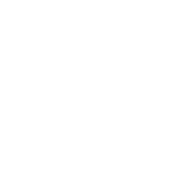 Hyundai Motor Company