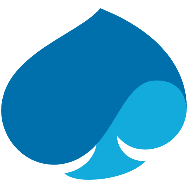 Capgemini