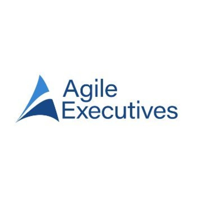 Agile Executives