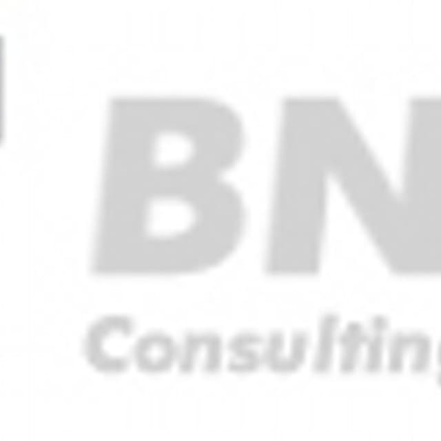 BNG Consulting, Inc.