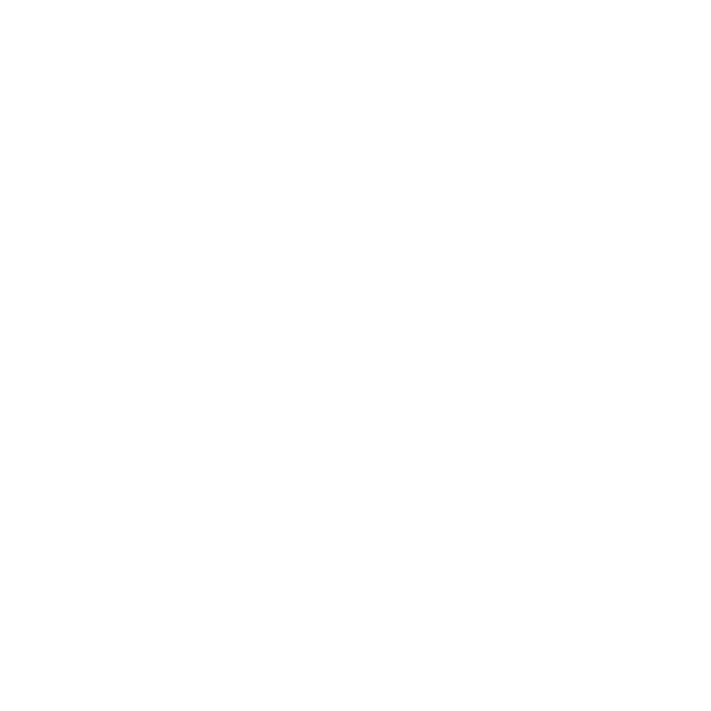 TransUnion