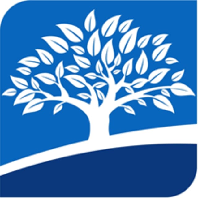 Bridgetree