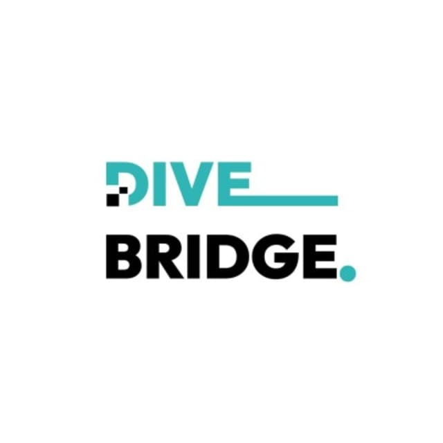 DiveBridge LLC