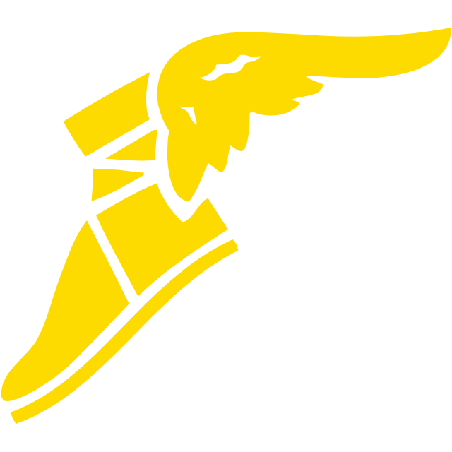 The Goodyear Tire & Rubber Company