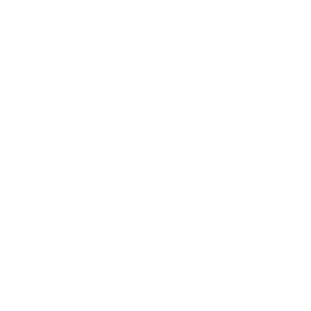 The Walt Disney Company
