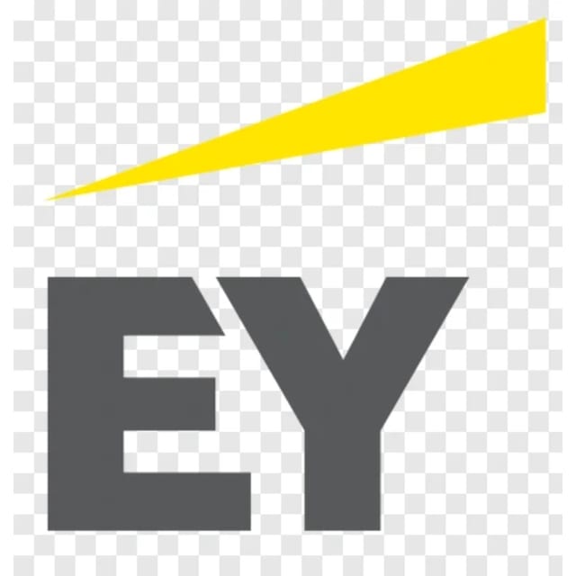 Ernst & Young Consulting