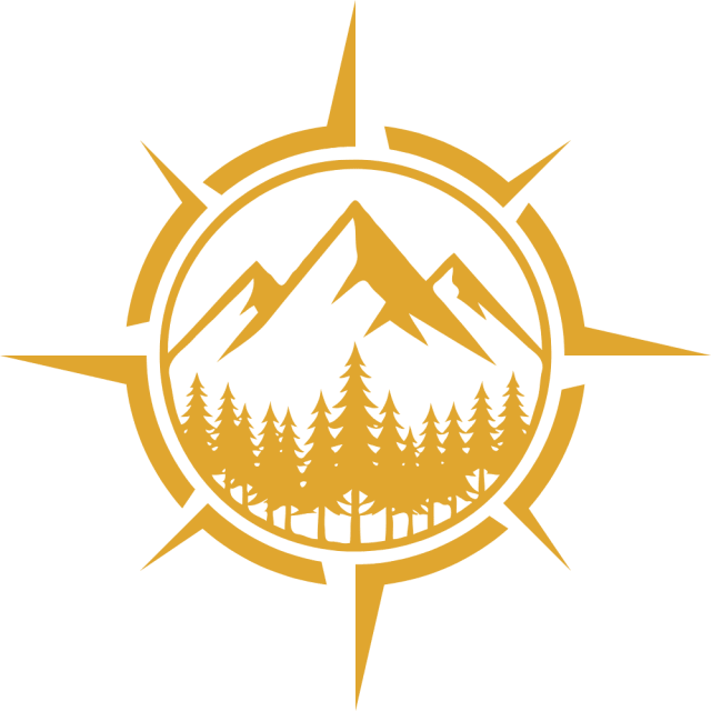 CGO CAPITAL