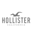Hollister Co.