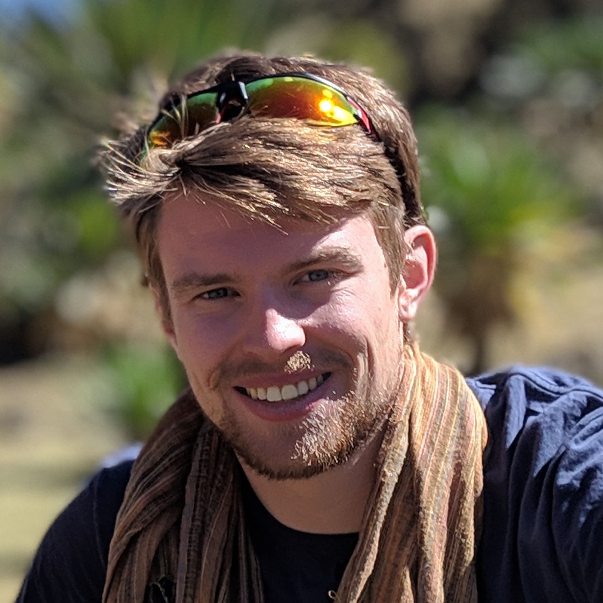Daniel P. profile image