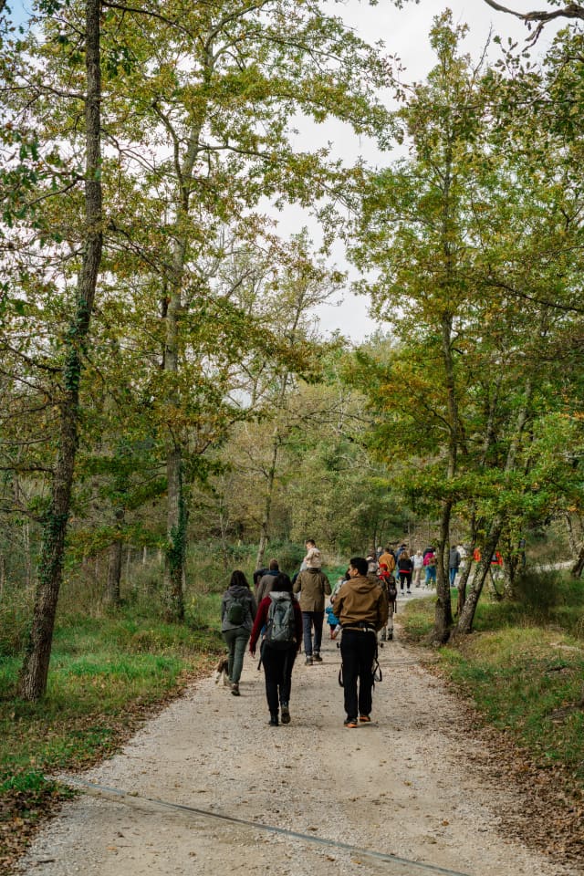 Trekking through Nature, Animals and History