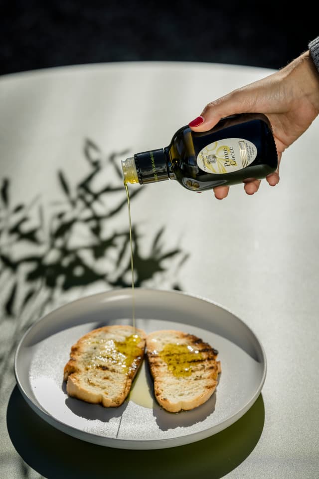 Degustazione di Olio Novo