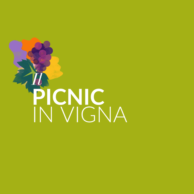 Picnic in vigna