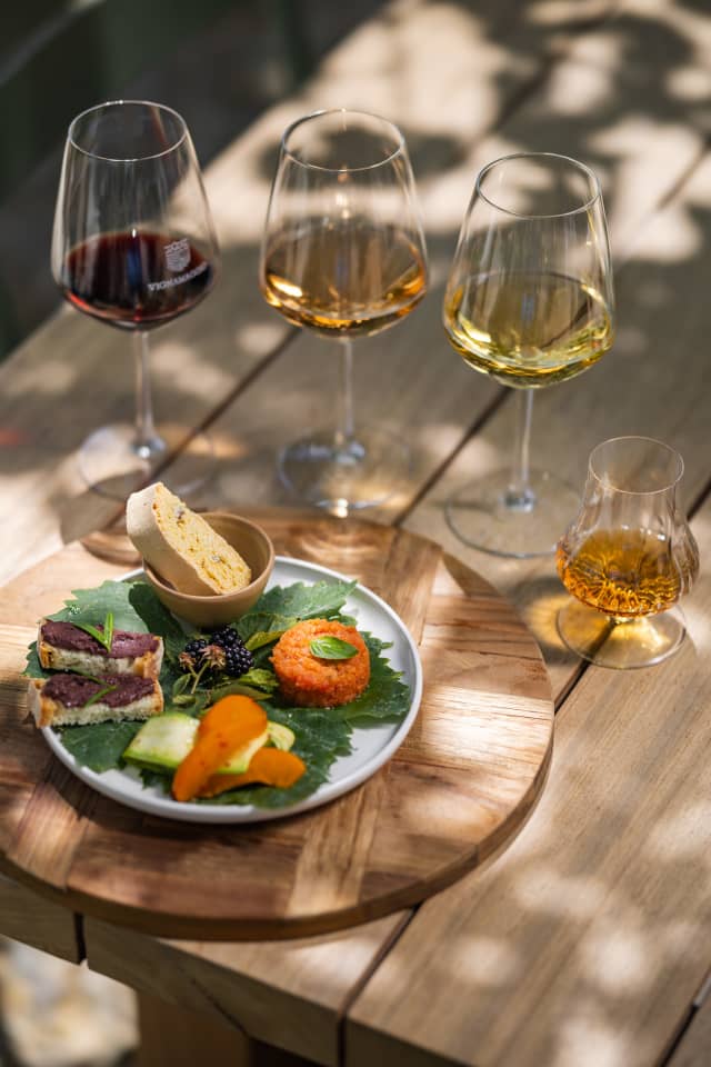 Colori di Vignamaggio