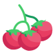 Icon of the ingredient Cherry tomato