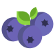 Icon of the ingredient Blueberry