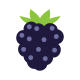 Icon of the ingredient Blackberry