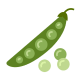 Icon of the ingredient Green beans