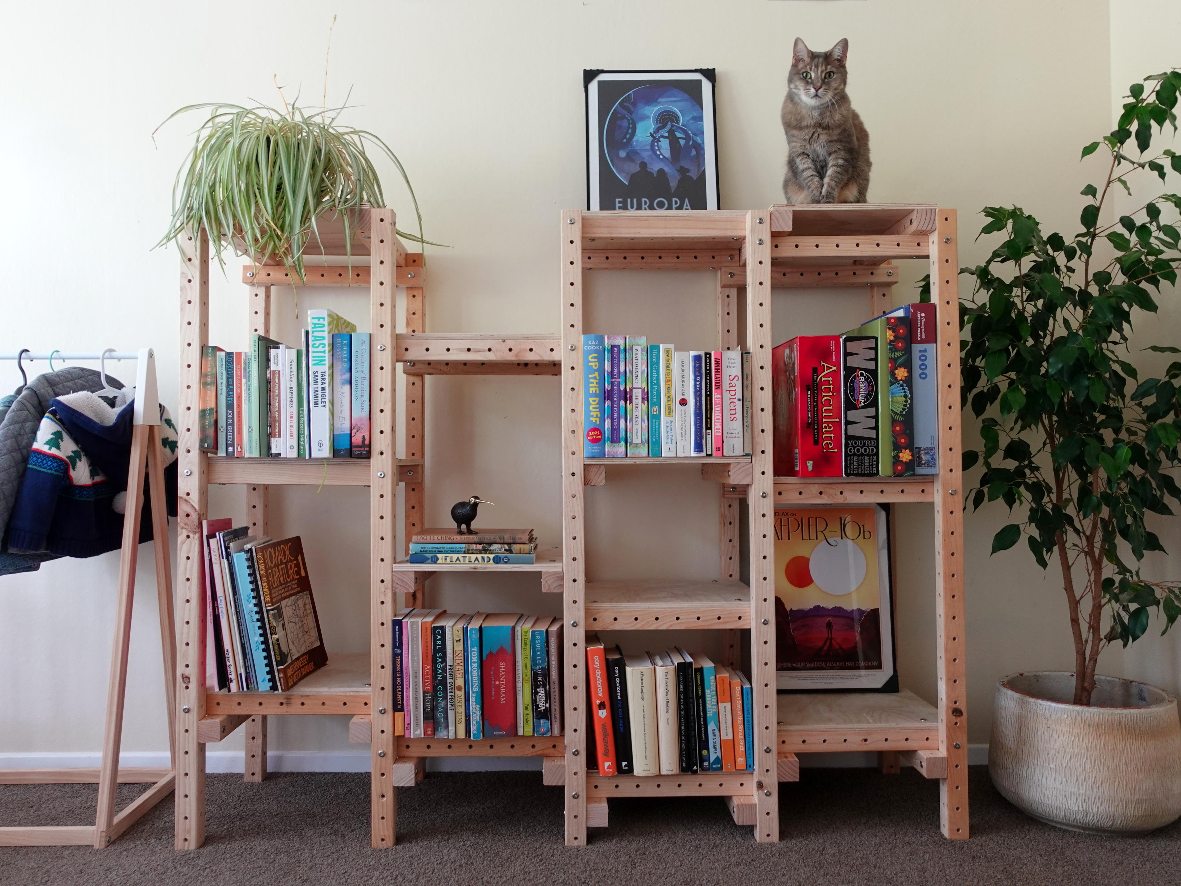 A modular wooden bookshelf with adjustable sections, holding books, board games, and decorative items like a spider plant in a pot and a framed poster at the top. A cat is perched on the highest shelf. The bookshelf is placed on a carpeted floor, with a coat rack to the left and a tall potted plant to the right.