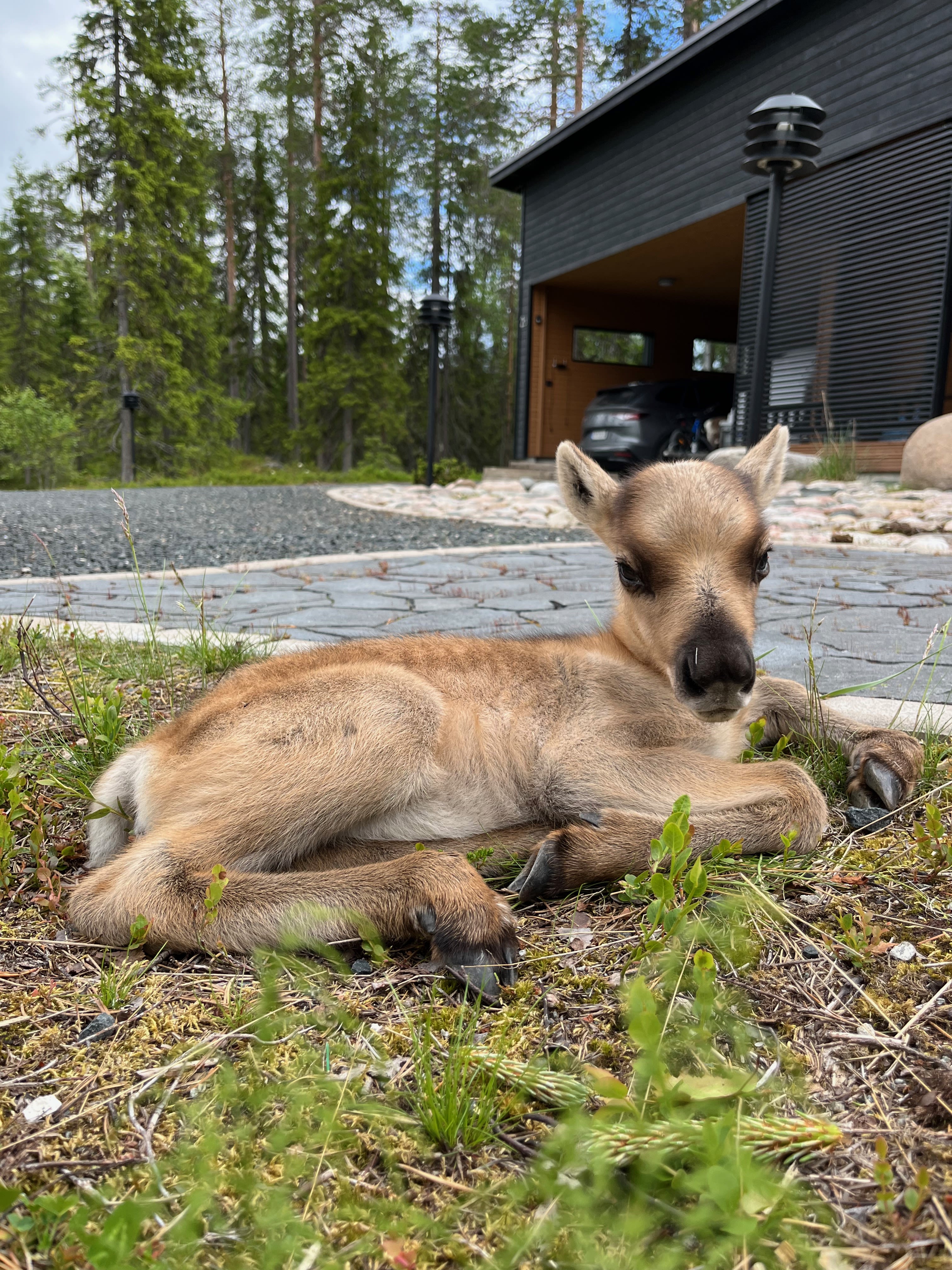 Family Friendly Amenities