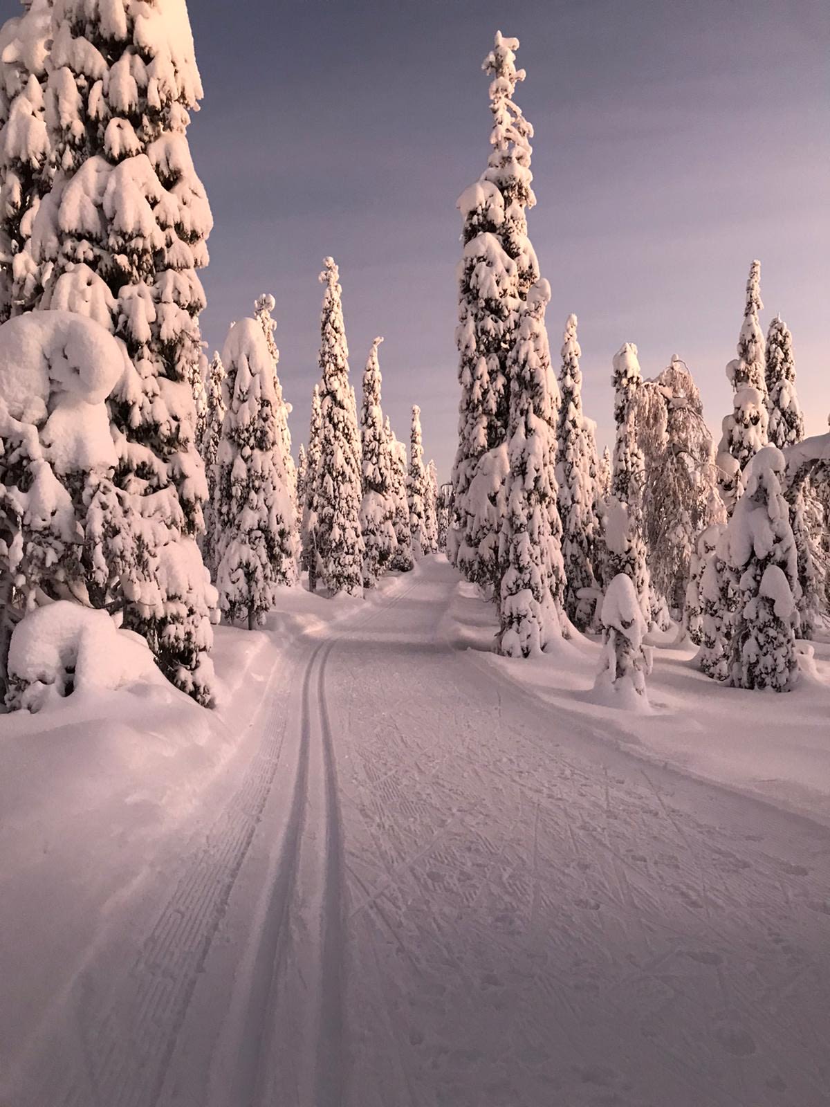 Private getaway in Ruka