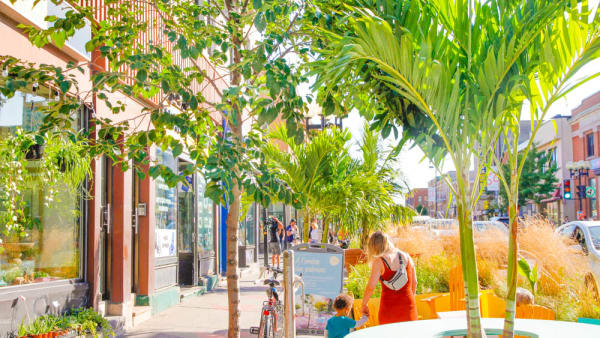 Le quartier Vieux-Rosemont dans l'arrondissement de Rosemont–La Petite-Patrie.