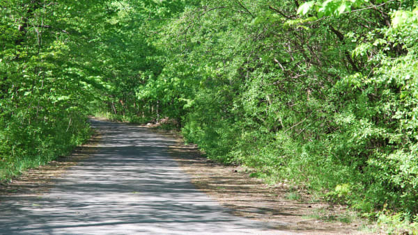 Parc-nature du Bois-de-Saraguay