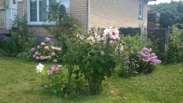 Le quartier des fleurs dans l'arrondissement Montréal-Nord.