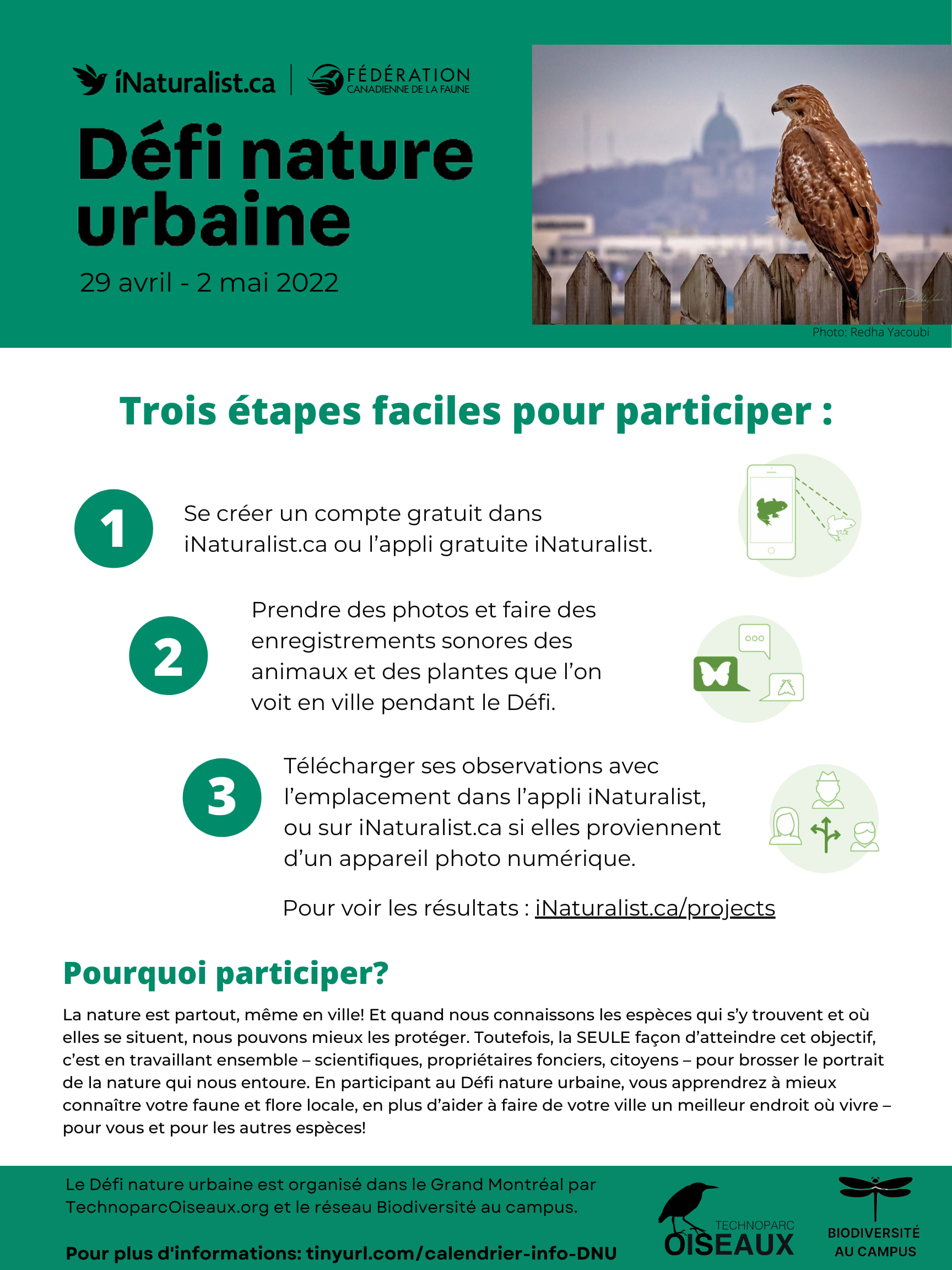 Affiche qui précise les trois étapes pour participer au Défi nature urbaine