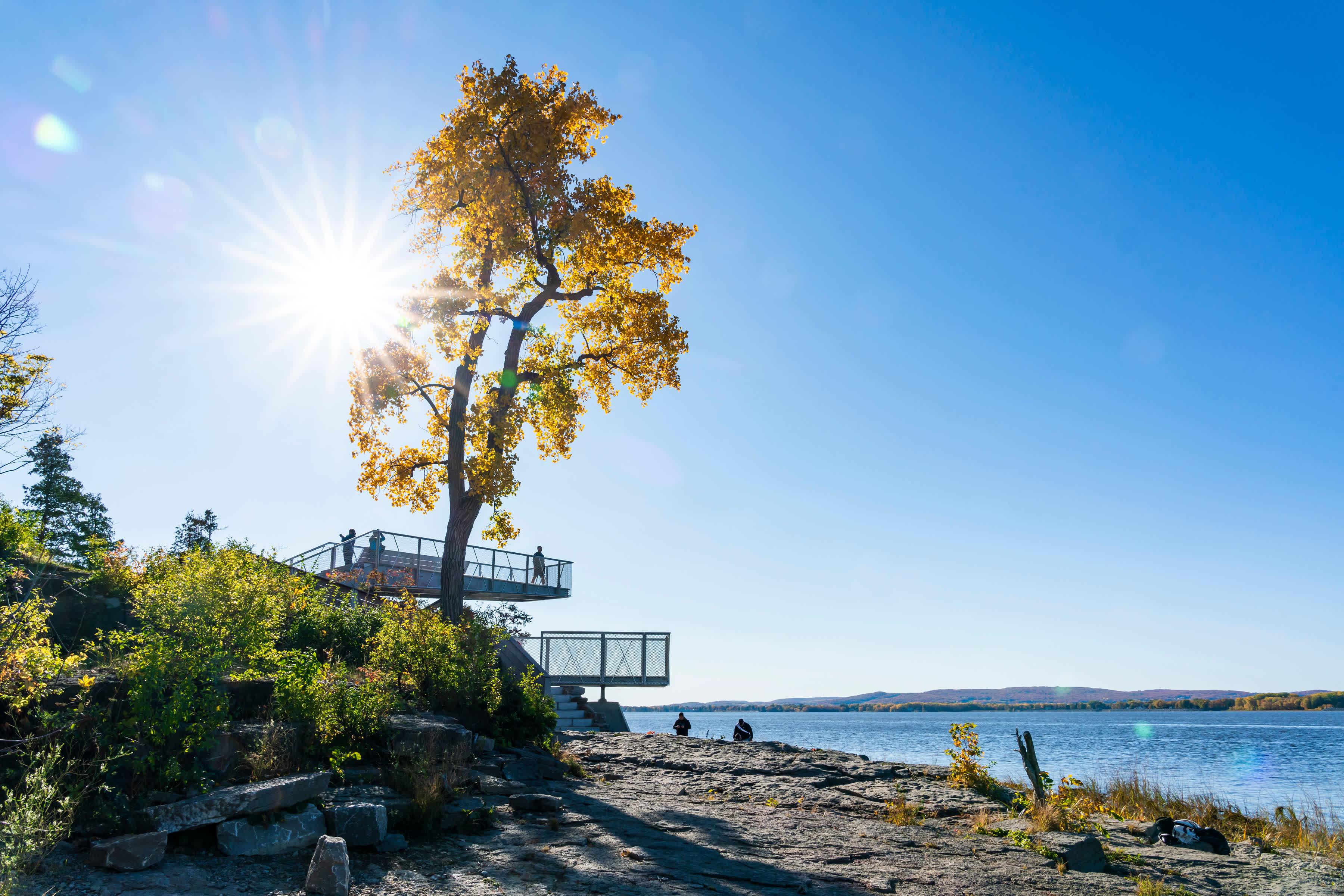 Grand parc de l'Ouest, Bois-de-l'Île-Bizard
