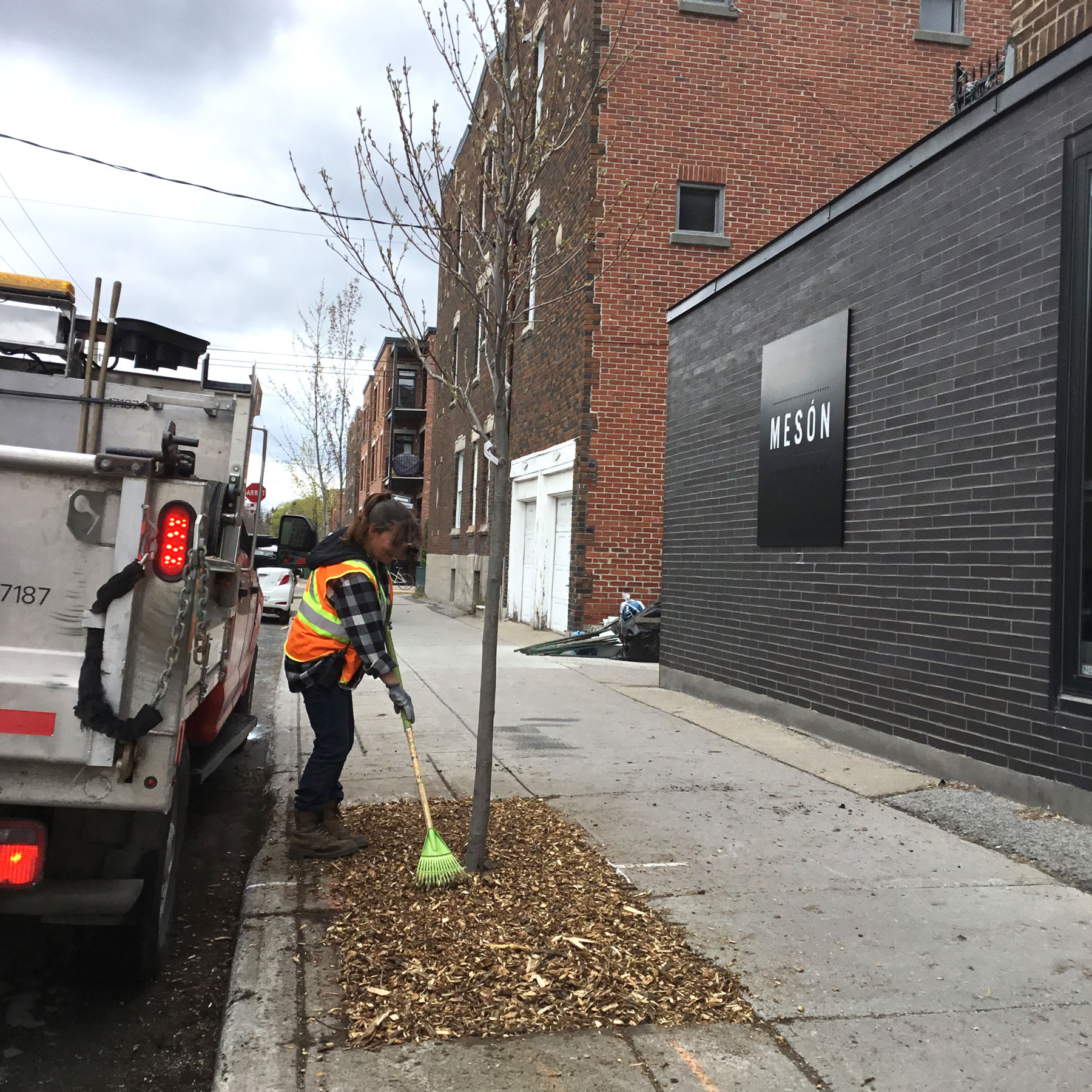 Plantation d'arbres sur la rue Villeray