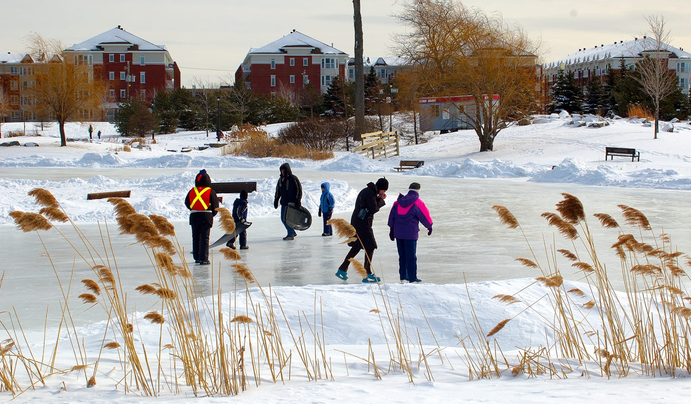 People skating in Jarry park