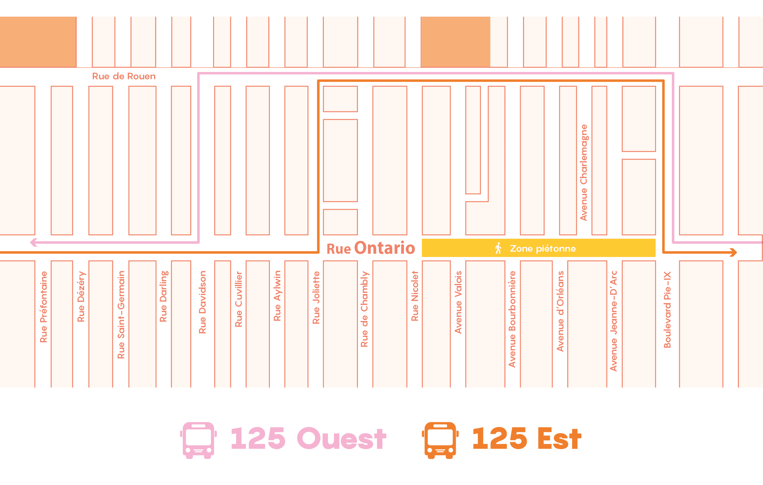 Promenade Ontario 2021_Carte autobus 125