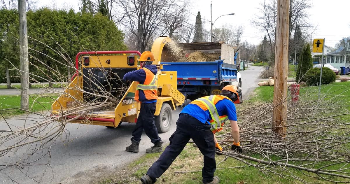 Arboriculteurs lors de la collecte de branches à Pierrefonds-Roxboro