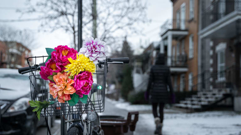 RosemontLa PetitePatrie